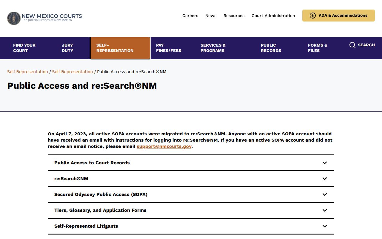 Hidalgo County criminal court case access options in New Mexico